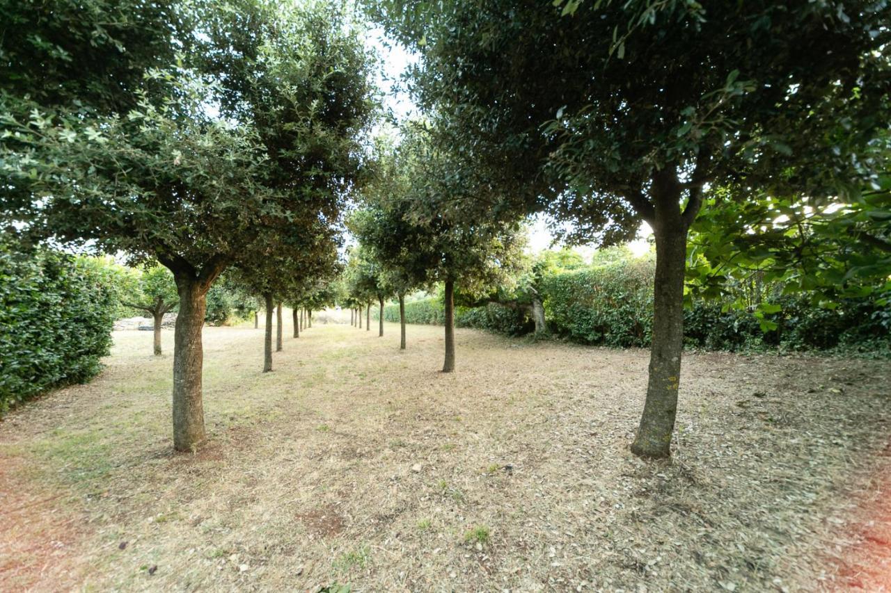 Dimora Beatrice Villa Martina Franca Bagian luar foto